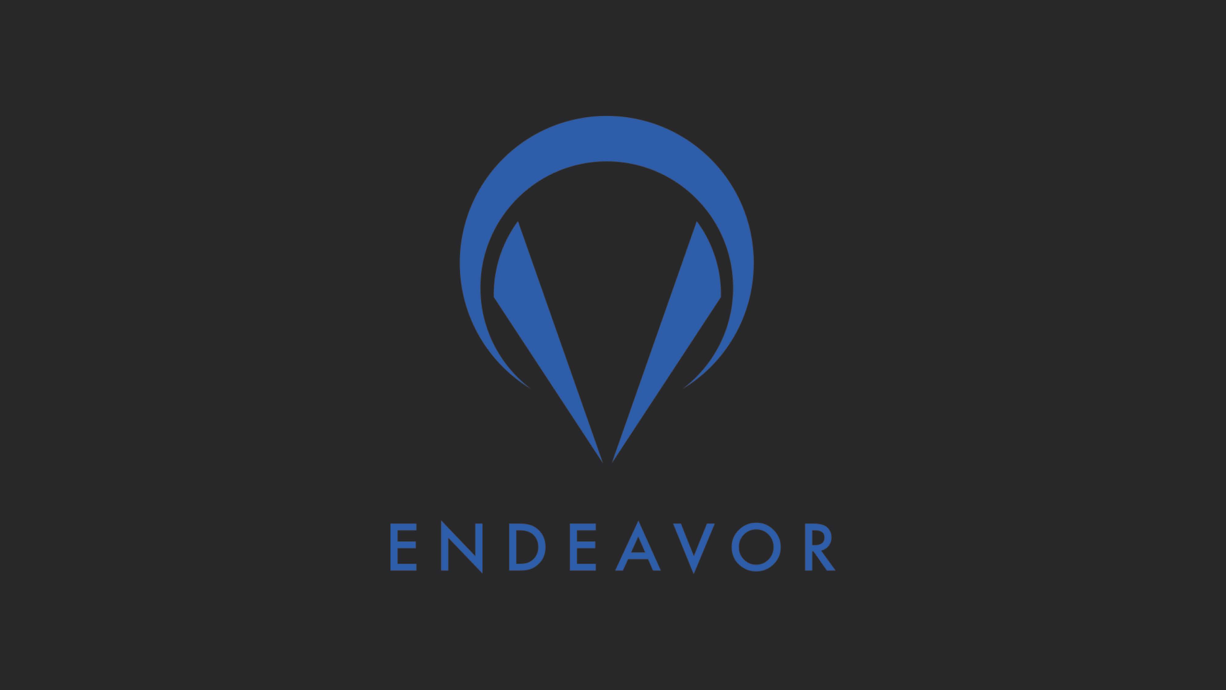 endeavor_16.jpg